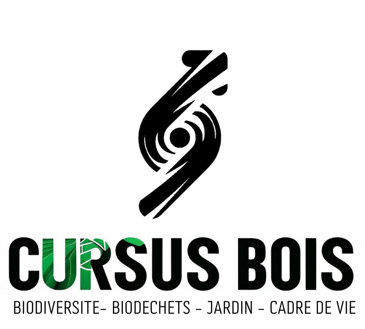 Logo cursus bois